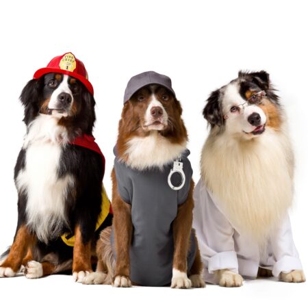 fotos para editorias