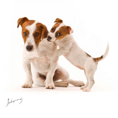 Fotos publicitárias