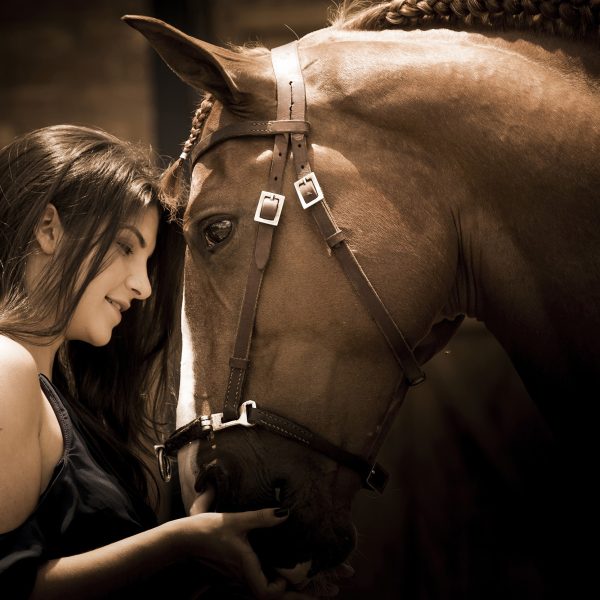 Fotografia profissional com animais, cavalos, book couwntry