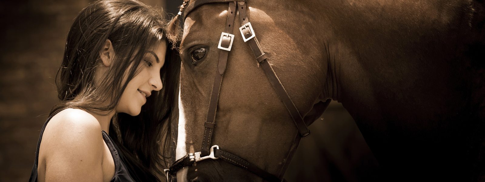 Fotografia profissional com animais, cavalos, book couwntry