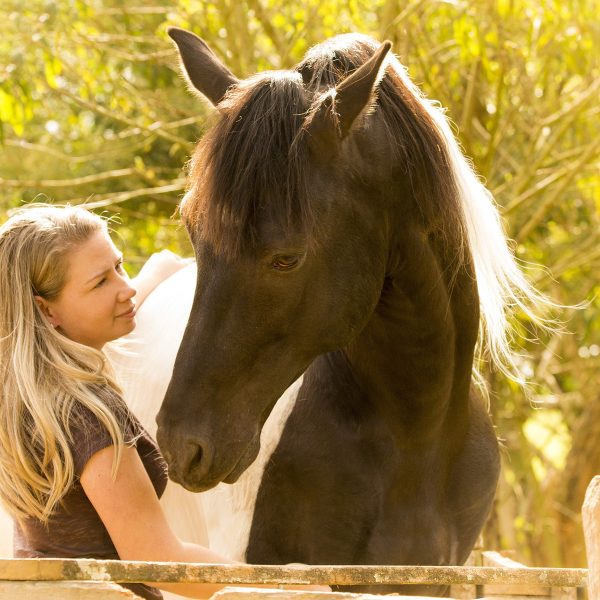Fotografia profissional com animais, cavalos, horses